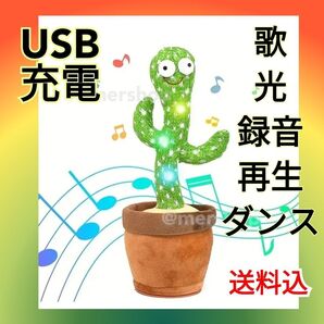 子供 おもちゃ 知育 USB サボテン 動く 赤ちゃん 歌 ダンス 踊る 光 録音 再生 話す 音楽 ベビー キッズ 知育玩具
