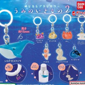 A-52 コンプ めじるしアクセサリー うみのいきもの2 全8種 海の生き物