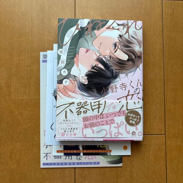 栗原カナ ひねくれ小野寺くんの不器用な恋