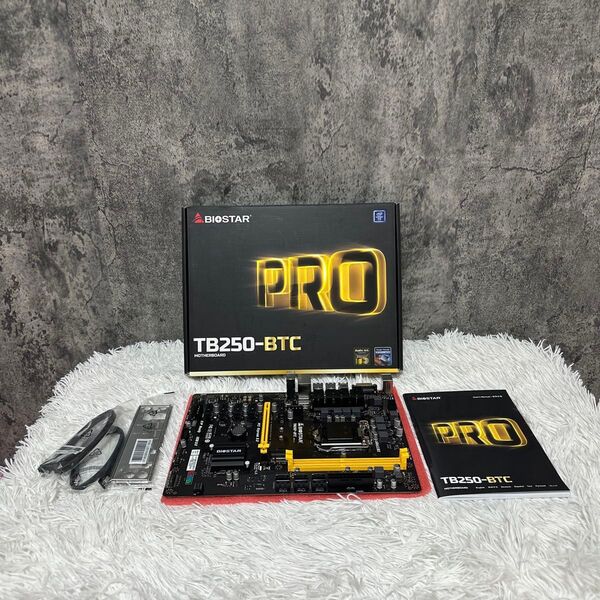 BIOSTAR TB250-BTC マザーボード
