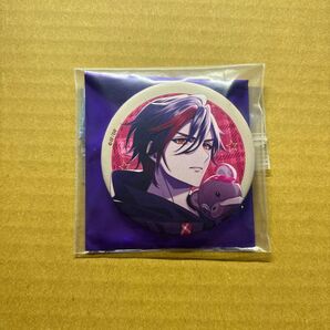 9R.I.P. ナインリップ オトメイト 缶バッジ グッズ 紅華