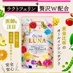 【産婦人科医監修】妊活サプリメント 葉酸 温活 子宮内フローラ マカ 鉄分 マルチビタミン 高麗人参 α-リポ酸
