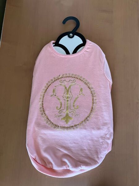 新品★森泉★ロゴTシャツ★X L★2 L犬服0931★ラブリー服★ペット洋服