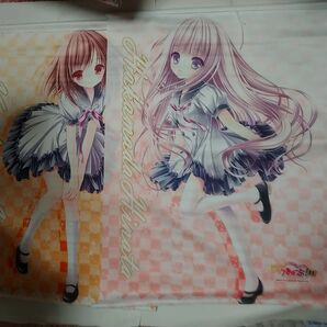 ひなた+愛莉 B2タペストリー 「ロウきゅーぶ!SS」ロウきゅーぶ タペストリー2枚セット ひなた 愛莉B2タペストリー