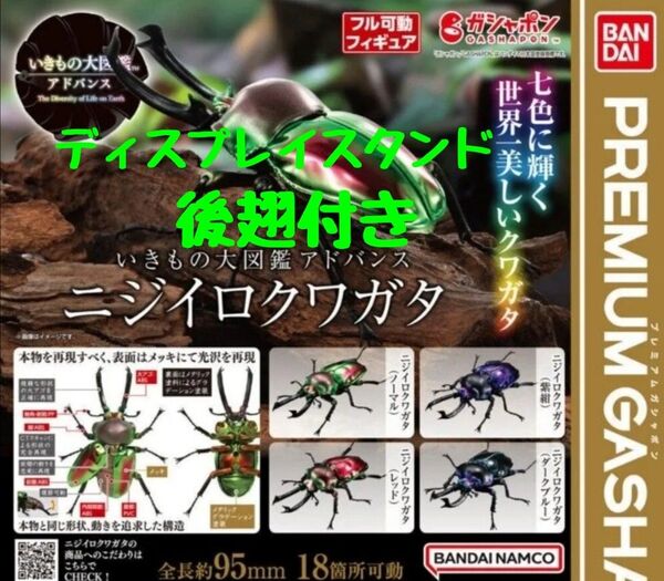ディスプレイスタンド付 いきもの大図鑑アドバンス ニジイロクワガタ 全4種セット