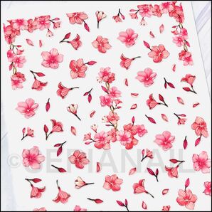 ネイルシール ステッカー 桜 チェリーブロッサム【F444a】
