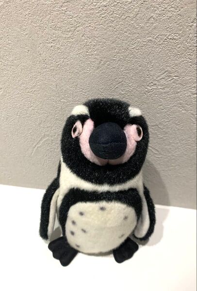 上野動物園 ペンギンぬいぐるみ