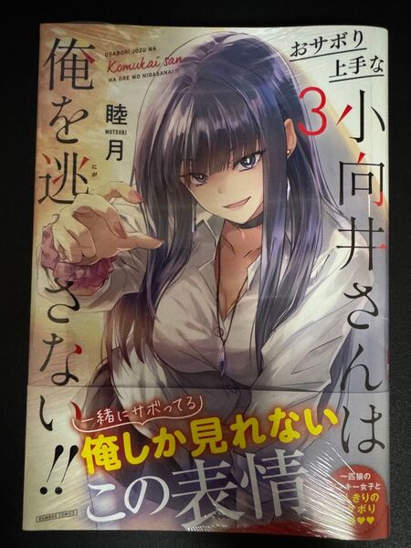 おサボり上手な小向井さんは俺を逃さない 3