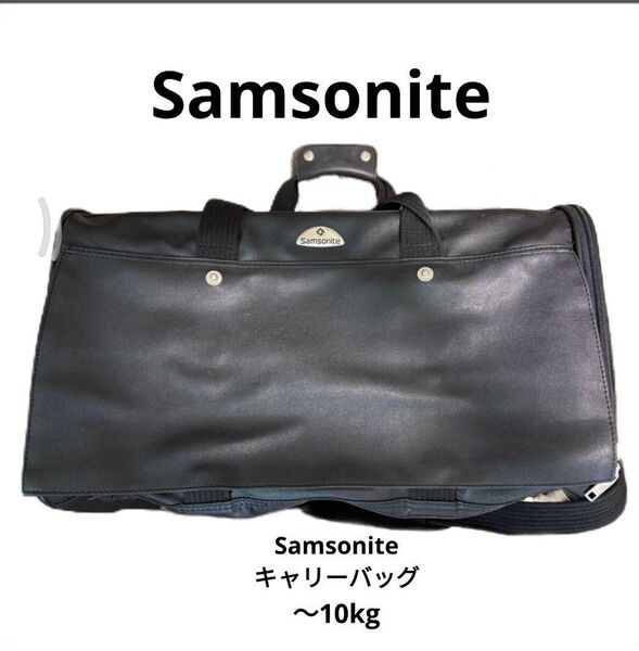 廃盤レアSamsoniteサムソナイト ペット用 キャリーバッグ 〜10kg