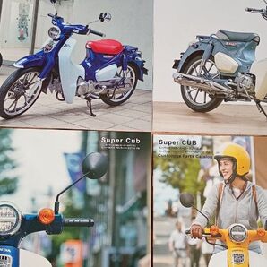 2020年 ホンダ スーパーカブ カタログ