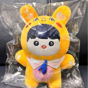btsぬいぐるみ ジョングク 18センチ マスター 大人気
