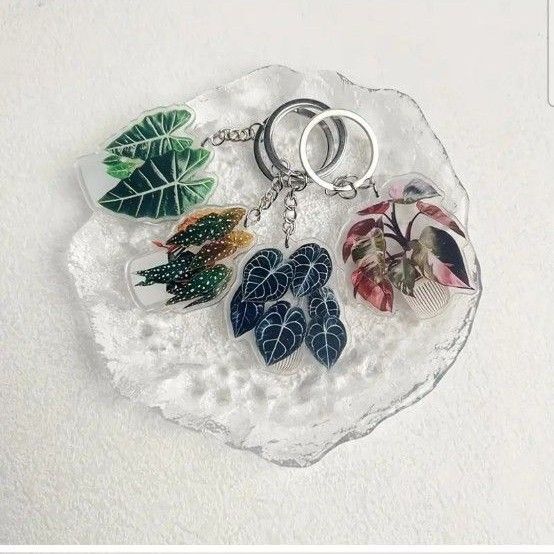 アロカシア アマゾニカ 植物アクリルキーホルダー