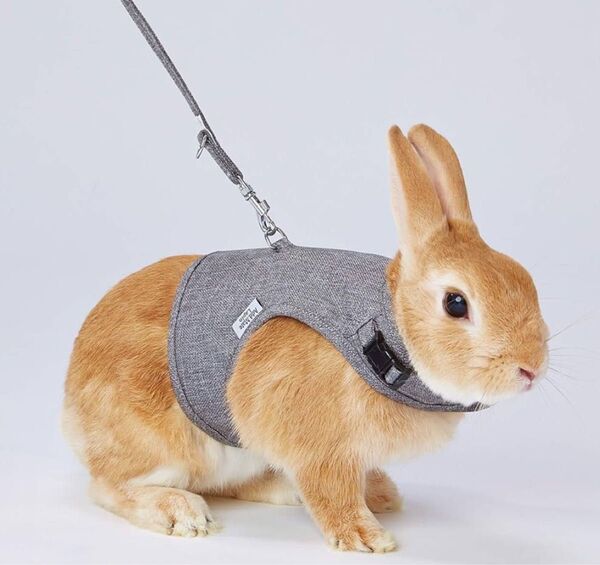 ラパン Lapin ラパンウォークハーネス Sサイズ ネイビー うさぎ用