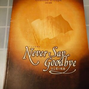 宝塚大劇場 宙組 Never Say Goodbye プログラム パンフレット 和央ようか 花總まり