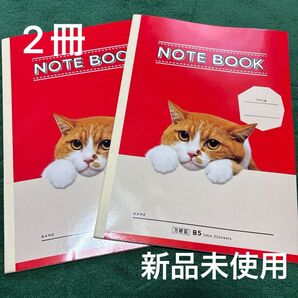 【Y!mobile】ふてニャン☆B5方眼罫ノート☆2冊
