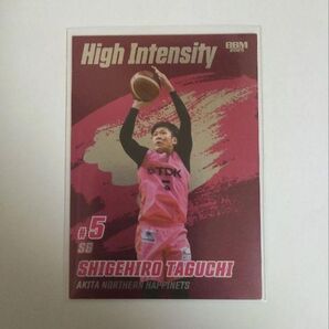 BBM インサートカード 秋田ノーザンハピネッツ 田口成浩