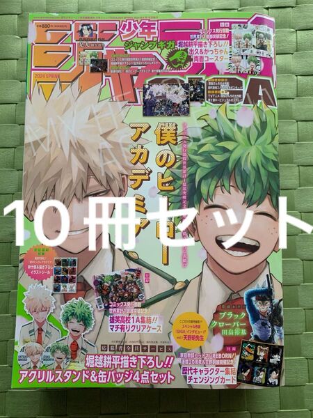 ジャンプGIGA2024 Spring ヒロアカ 雑誌 10冊セット