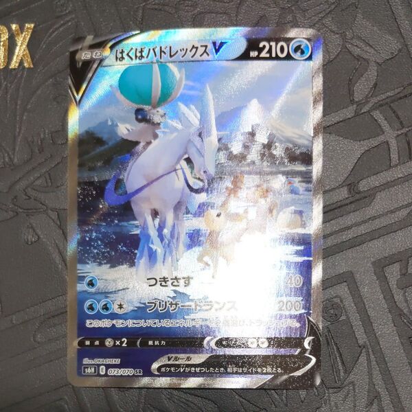 はくばバドレックスV SR スペシャルアート