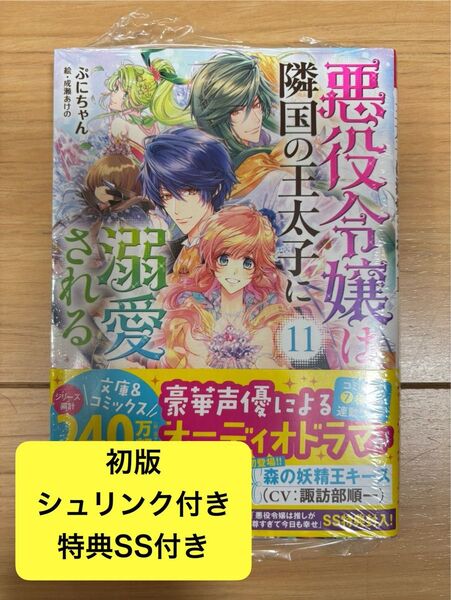 【小説】悪役令嬢は隣国の王太子に溺愛される 11