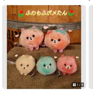 ふわもふポメラニアンたん でかぽん & ふわぽん セット ぬいぐるみ