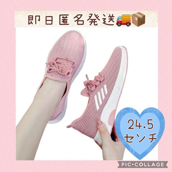 レディース スニーカー ウォーキング ランニング ジム 運動靴 メッシュ 軽量 24.5cm