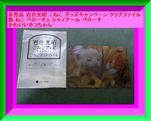 非売品 岩合光昭 こねこ グッズキャンペーン クリアファイル 猫 ねこ ベローチェ シャノアール ベローチ かわいいネコちゃん