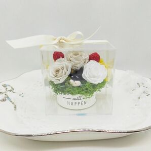 ミニチュアシュナウザー プリザーブドフラワー 樹脂製ケース 7.2.17