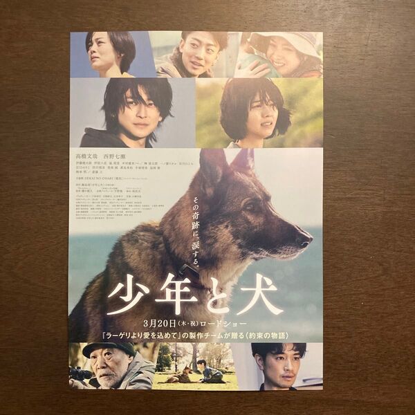【映画チラシ】2025年3月20日公開 少年と犬 10枚