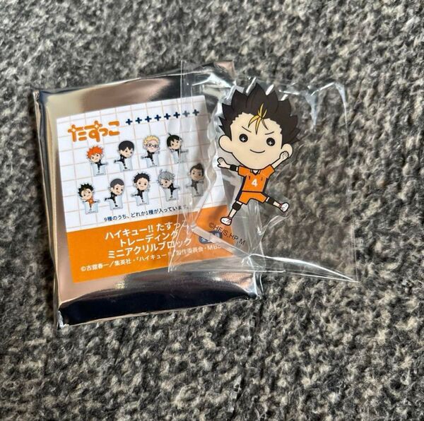 ハイキュー!! 西谷夕
