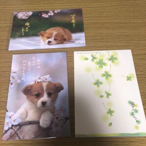 ポストカード 犬 四つ葉のクローバー
