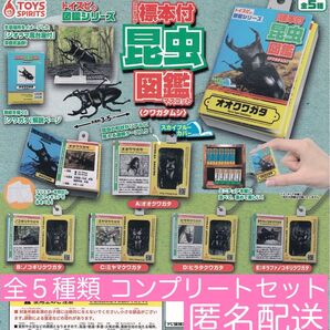 【新品・未使用・匿名配送】ミニチュア標本付 昆虫図鑑マスコット(クワガタムシ) 全5種フルコンプリートセット 昆虫 クワガタ