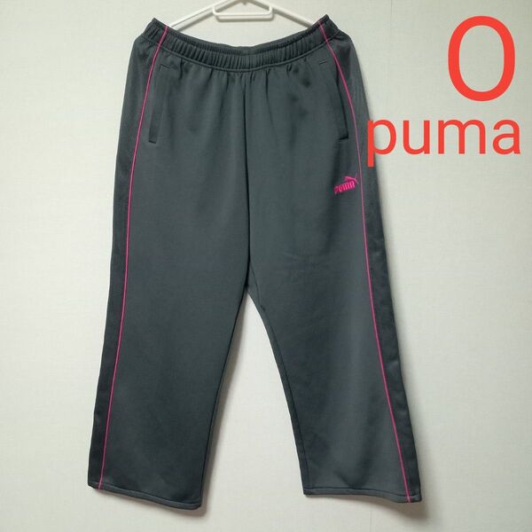 3119/ジャージ PUMA