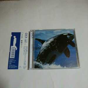 ORCA 輪唱カノン　アルバム　CD 激レア盤　即決価格　帯付き　11曲収録　盤面良好　オルカ