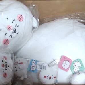 ナガノ アザラシぬいぐるみくじ マスコット フルコンプセット A B C D賞