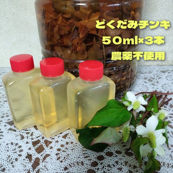 どくだみチンキ 50mI×3本 農薬不使用 (雑貨)