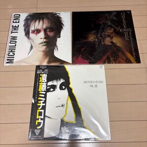 遠藤ミチロウ レコードセット LP
