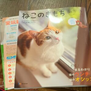 最新号 3月 ねこのきもち
