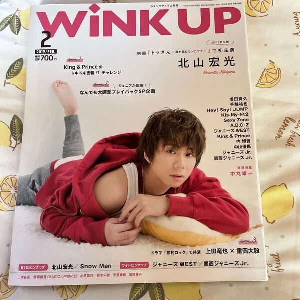 WINK UP(ウインクアップ) 2019年2月号 (ワニブックス)