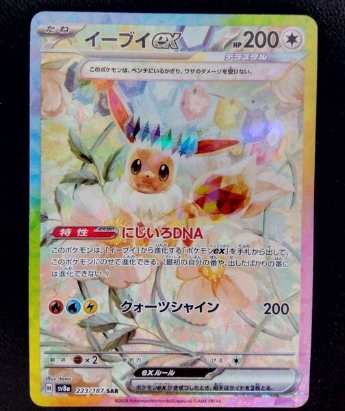 イーブイ SAR テラスタルフェスex