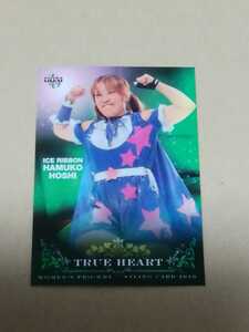 BBM 女子プロレスカード2010 TRUEHEART No.42　星ハム子