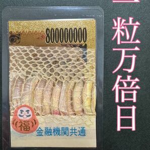 白蛇の抜け殻☆巳年生まれが育てる蛇のお守り☆【一粒万倍日】6