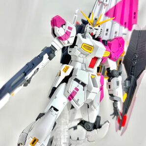 RG νガンダム 九龍風塗装品