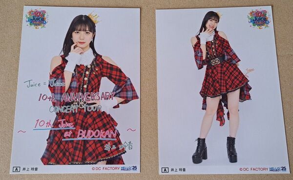 Juice=Juice 井上玲音 2L 写真 3枚