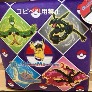 朝10時まで限定価格 ポケモン 学童クッション ポケットモンスター 新品