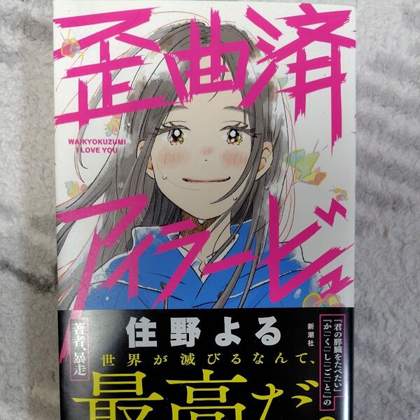 歪曲済アイラービュ 本 小説