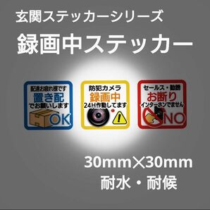 録画中ステッカー 30mm×30mm 耐水・耐候 玄関ステッカーシリーズ