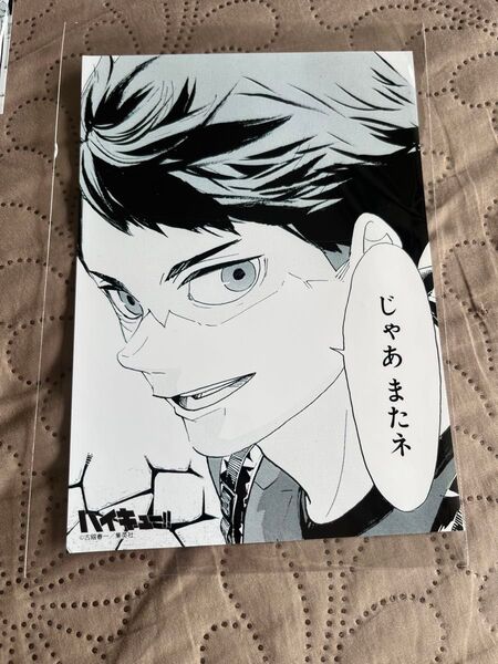 ハイキュー ジャンプショップ限定プロマイド 青葉城西 及川徹 1枚 2Lサイズ