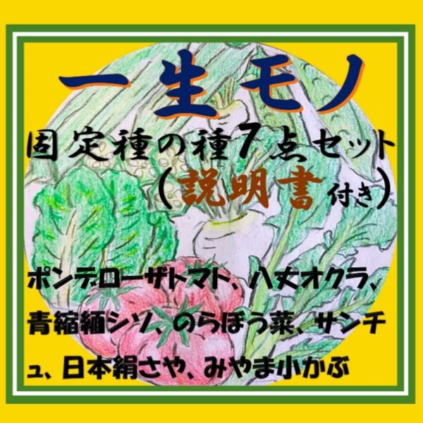 一生モノ 野菜の種セット 固定種7点 説明書付き 家庭菜園におすすめ