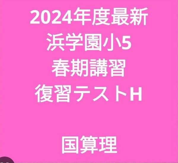2024年度最新 浜学園小5 春期講習復習テストH 国算理