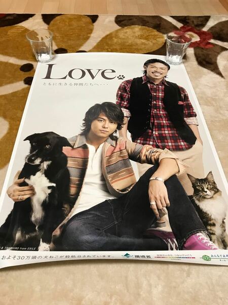 ポスター　非売品　レア　EXILE TAKAHIROさんと松本利夫さん　犬　猫